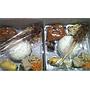 Lunch Box1