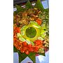 Paket nasi tumpeng ...