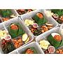 Nasi box Miss Veera