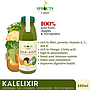 Sprouts Farms Juice KALE LIXIR 250ml (Cold-Pressed MICROGREENS Jus)