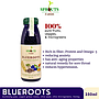 Sprouts Farms Juice BLUEROOTS 250ml (Cold-Pressed MICROGREENS Jus)