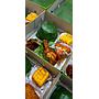 Paket Nasi Ayam Goreng Hesa Bersama