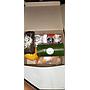 Snack Box1