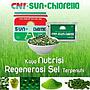 Sun Chlorella