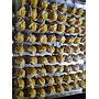 Kue Kering Nastar Keju DBS