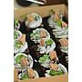 Paket Snack dan Lunch3
