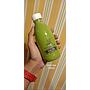 green tea ukuran 350 ml