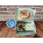 snack Box Andinah