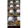 NASI BOX6