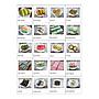 Snack Box by Aneka Surya