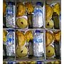 Snack Box