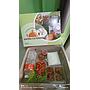 paket nasi box: ayam saus padang1