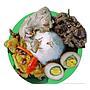 capnyonyah nasi gudeg komplit 2