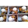 Nasi box A.W CAKERY