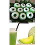 PMT LANSIA PAKET 1