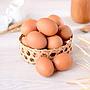 Telur Ayam