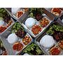 Paket Nasi Box - Dapur Bu Ismi