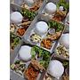 Paket Nasi Box - Dapur Bu Ismi