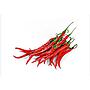 Cabe Merah Keriting