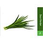 Daun Pandan