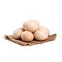 Telur Ayam