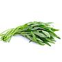 Kangkung