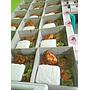 Nasi Kotak Dapur Nazwa