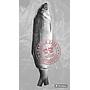Ikan Bandeng Cabut Tulang