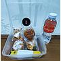 Snack Box Mbok Esti