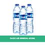Oasis 600 Ml