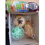 Paket Nasi & Snack UYE