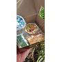 lanesra snack box gold