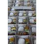 Paket Nasi Ayam Serundeng