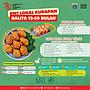 PMT Balita Pangan Lokal 12-59 bulan1