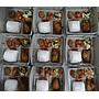 PAKET NASI BOX