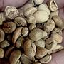 TOKO VALEN - BIJI KOPI ROBUSTA