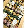 Kue Nampan (15pcs) Kamaliyyah Homemade3