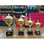 PIALA ALUMINIUM MANDIRI JAYA LESTARI