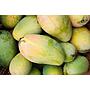 Mangga