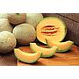 Melon