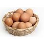 Telor Ayam