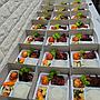 Catering Bunda Tri 1