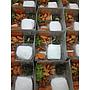 Paket 1 Ayam Bakar Udang Goreng (Urban Foodie)