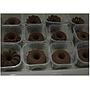 PAKET SNACK BOX DAPURAZAM