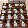 Paket Nasi Chiken Fillet CR Food