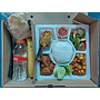 Nasi Box Sansevieria