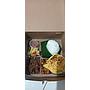 Nasi Box Dapur Cania Tipe A