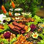 Paket makan siang dan Snack Box