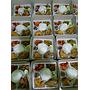 NASI BOX WAHYU CATERING