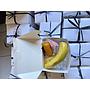 Snack Catering Bunda R